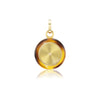 CARPE DIEM & SHINE BROWN RESIN CHARM